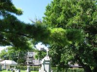 Chicago Ghost Hunters Group investigates Calvary Cemetery (109).JPG
